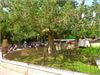 20140506jerozolima129