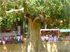 20140506jerozolima130