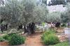 20140506jerozolima199