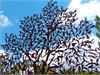 20140506jerozolima243