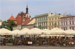 20140609_piel031