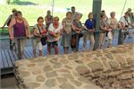 20140609_piel102