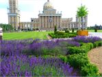 20140609_piel145