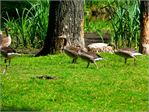20140609_piel176