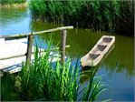 20140609_piel194