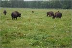 20140707gory_swiet63