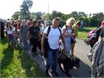 20140806piel_piesza08