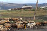 20140824armenia003