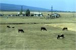 20140824armenia010