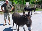 20140824armenia059