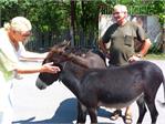 20140824armenia060