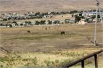 20140824gruzja075