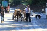 20140824gruzja176