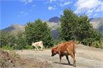 20140824gruzja201