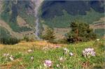 20140824gruzja204