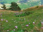 20140824gruzja207