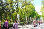 20150515lichen122