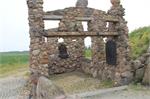 20150515lichen162