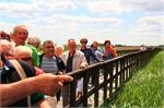 20150615warmia171