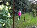 20151009_rozaniec16